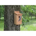 Songbird Essentials Songbird Essentials SETC101 Cedar Bluebird House SETC101